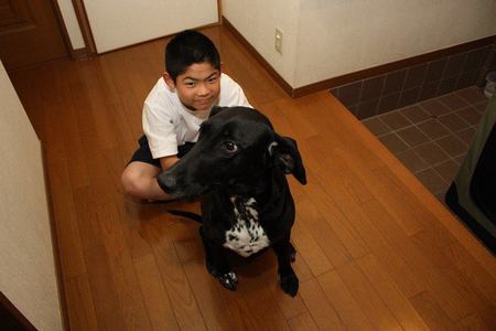 大阪市平野区のペットホテルヘルシーワンサポートは大型犬もお預かりしています