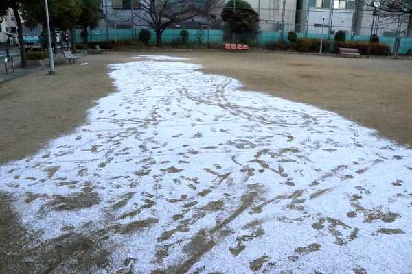 大阪で今年は初雪