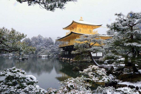 念願の雪の金閣寺
